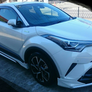 C-HR ZYX10