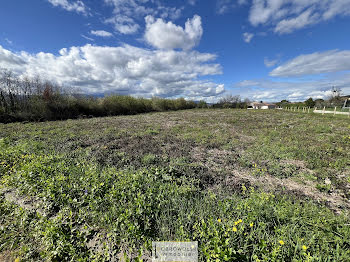 terrain à Chanas (38)