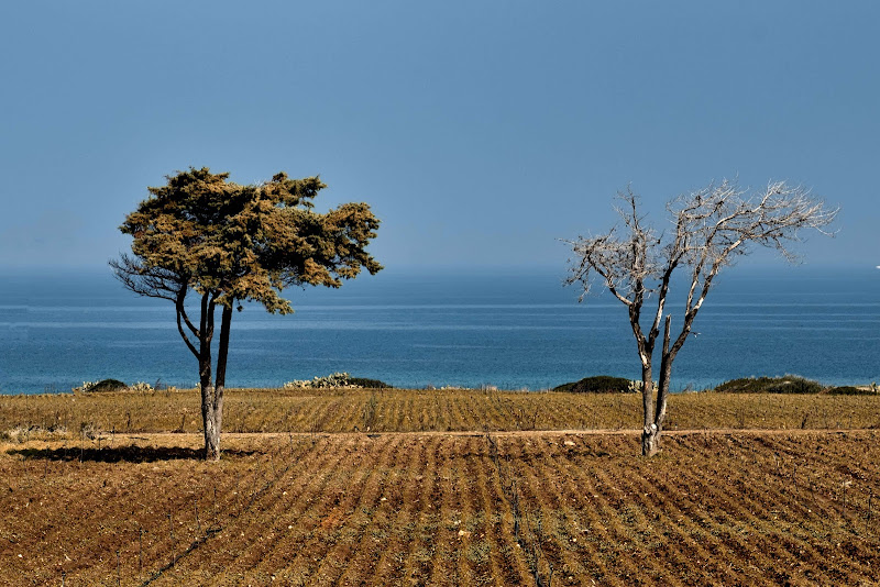 Autunno al mare di Miki Sarace