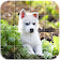 Home Animals Tile  Puzzle icon