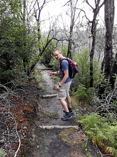 Raimund Petsch is one step ahead of the writer in the indigenous forest on the Kranshoek Coastal Walk.