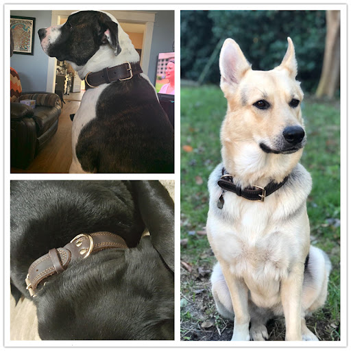 Title 6, Cowhide dog collar Durable and stylish, perfect...