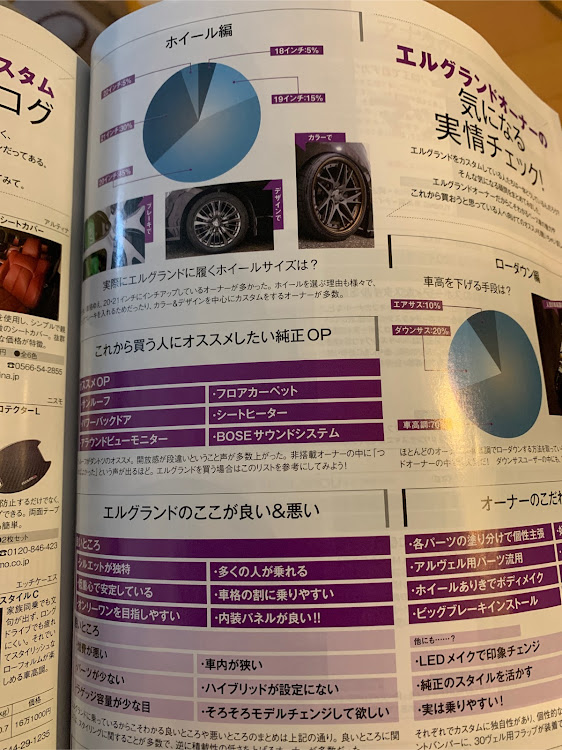 エルグランドのオフ会・撮影会・雑誌掲載車・スタイルワゴンに関するカスタム事例の投稿画像4枚目