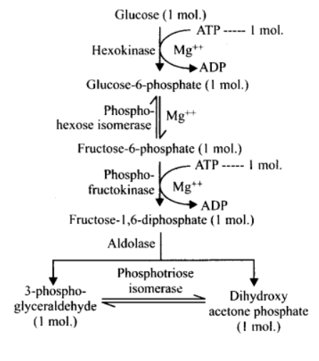 Solution Image