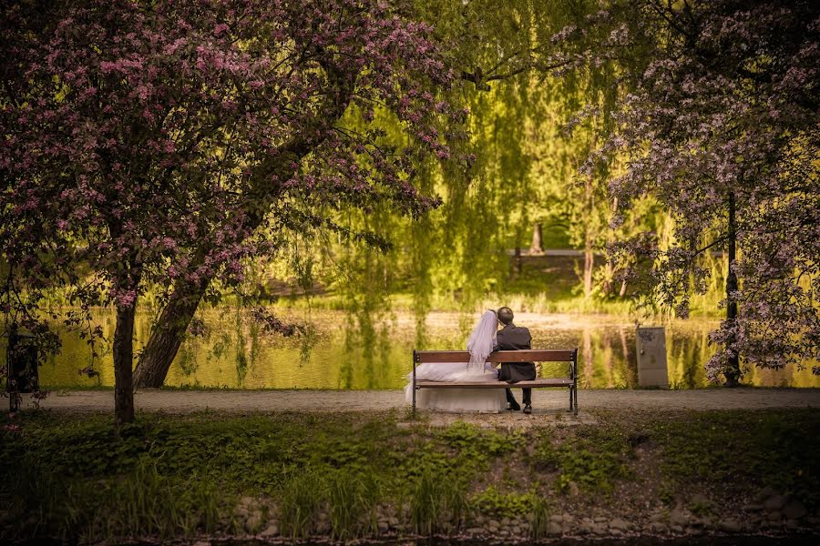 Pulmafotograaf Sylwia Dziadoń (sylwiadz). Foto tehtud 10 märts 2020