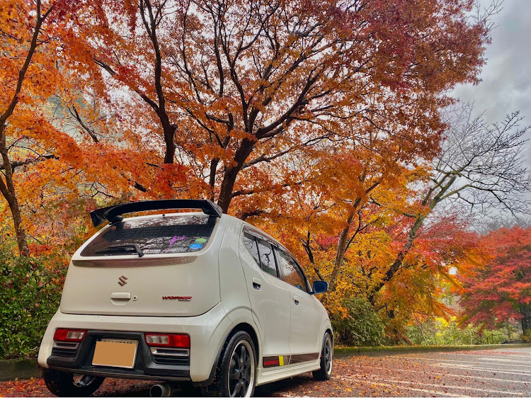 アルトワークスの愛車・紅葉と愛車に関するカスタム事例の投稿画像2枚目