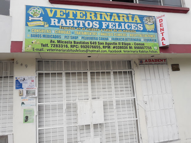 Veterinaria Rabitos Felices