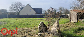 terrain à Saint-Dolay (56)