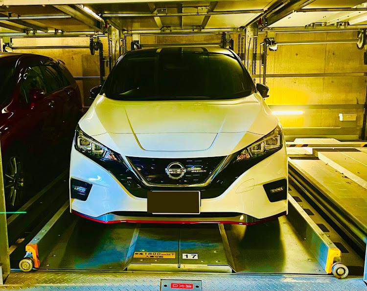 sato&co18さんが投稿したリーフNISMO・ウナギ・電気ウナギって食べられる？に関するカスタム事例の投稿画像1枚目