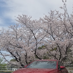 MAZDA3 BPFP