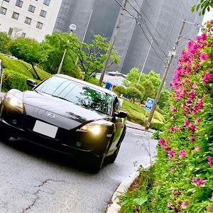 RX-8 SE3P