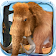 Parler Mammoth icon