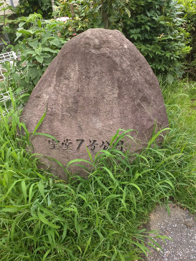 室堂7号公園