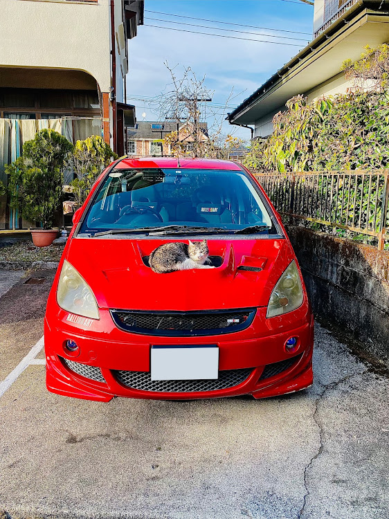 コルトラリーアートバージョンRのいいね＆フォロー＆コメントありがとうございます・まん防解除・⛰⛩ようこそ日光へ🙈🙊🙉・🐱ノラにゃんこ🐱に関するカスタム事例の投稿画像5枚目