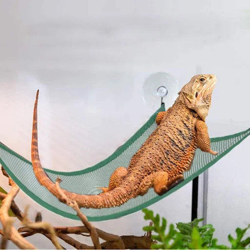 Pet Lizard Lounger Hammock Geckos Bed Mats Pet Reptile Mat Hammock Play Toys Swing Oxford Fabric For Reptile Snake Lizar