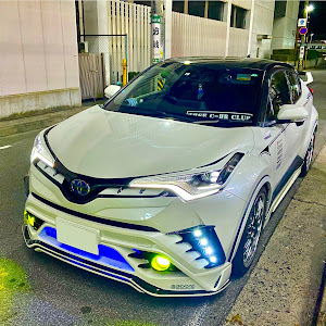 C-HR ZYX10