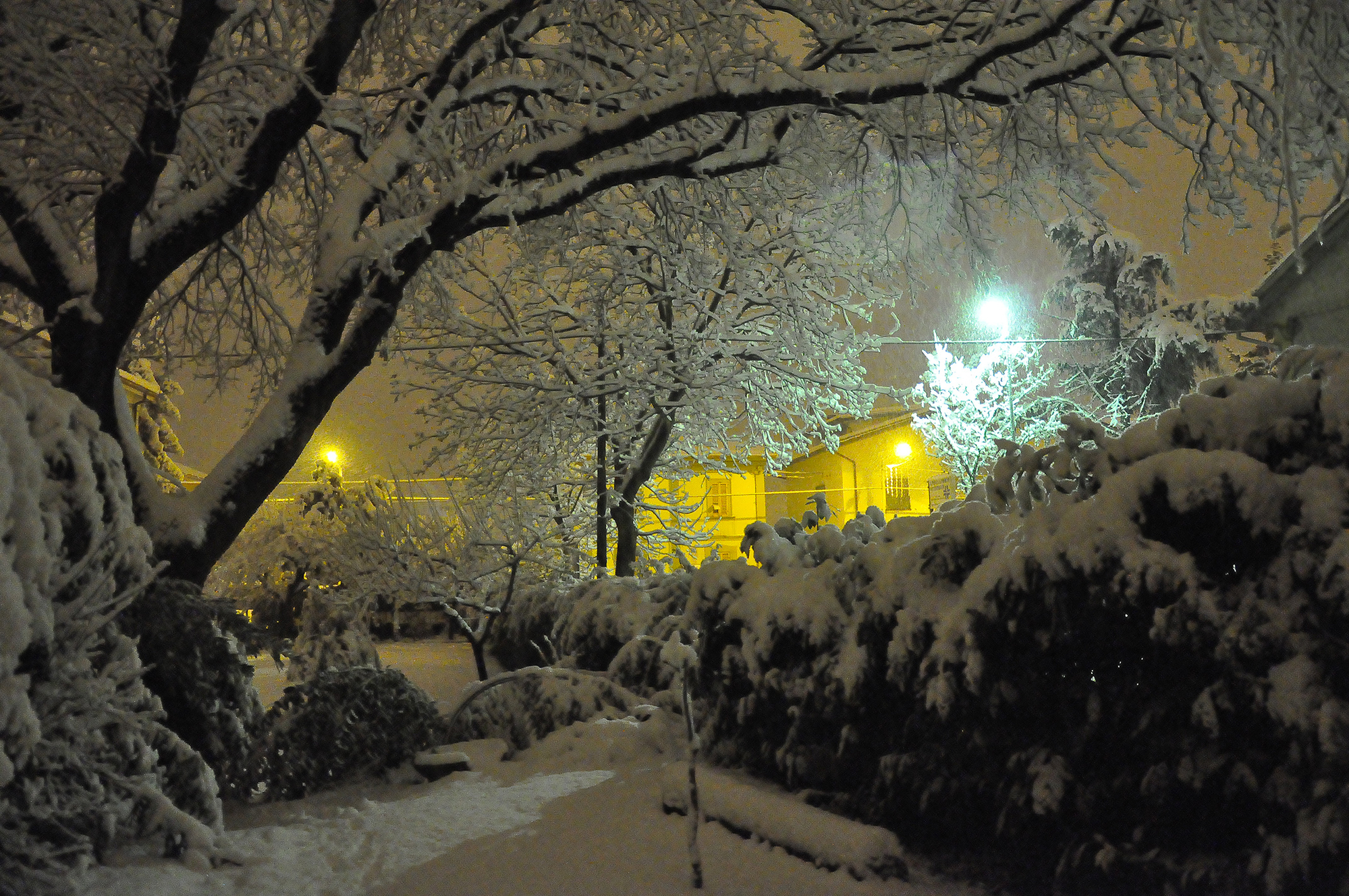 La neve illumina la notte di lcanest