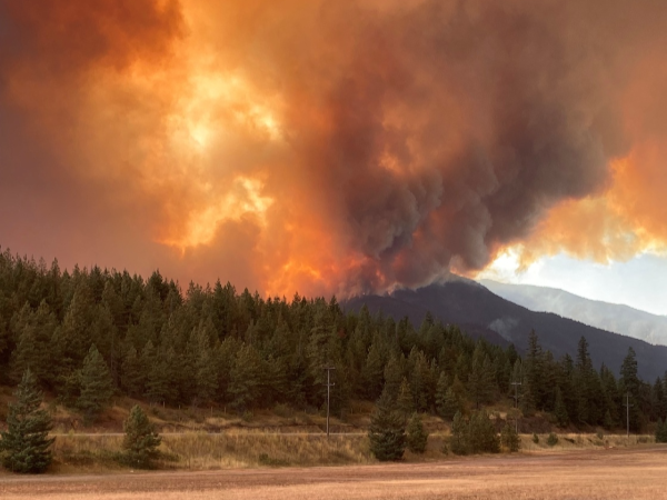 SA is sending more help to Canada as wildfires spread in the country. File image.