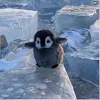 ユーザー