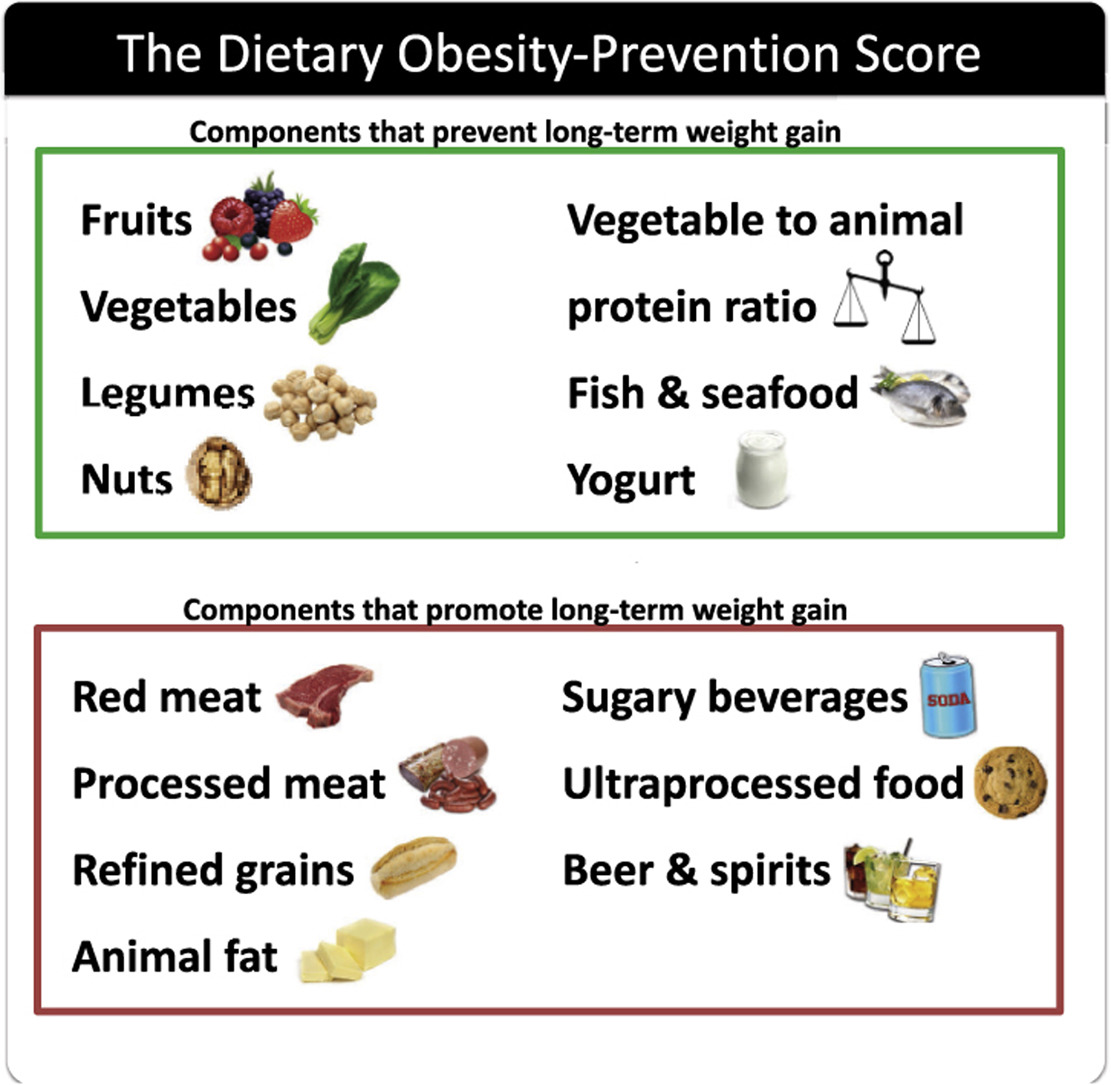 Healthy Foods to Control Obesity infographic