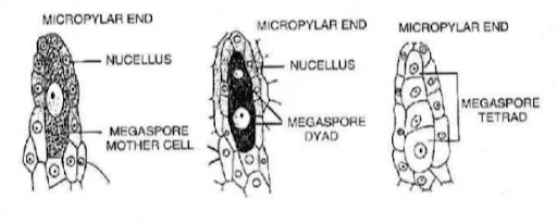 Solution Image