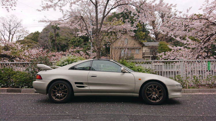 MR2の毎月8日はリトラの日・MR2・桜とコラボ🌸・春の交通安全週間に関するカスタム事例の投稿画像2枚目