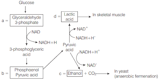 Solution Image