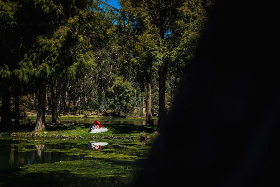 Φωτογράφος γάμων Fotografia Video (fotografiayvideo). Φωτογραφία: 15 Νοεμβρίου 2016