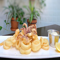 Fried Calamari