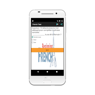 Beginning French-French practice Test - náhled