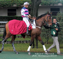 Prix du Président de la République 2015 (St., Hand., Auteuil) 19-04 : Saint Pistol BBlPsfcRwwTuyfu3YcEgWeesLhF8iGnYyBCgBbHCaNPP=w222-h207-p-no