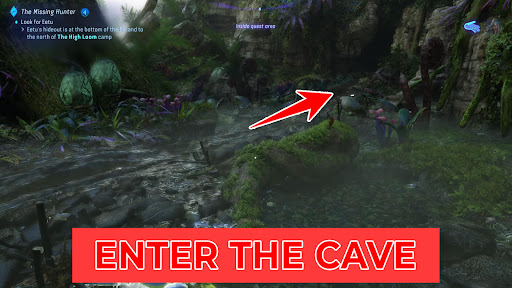 Investigate clues inside the cave