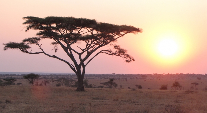 Africa di vlao