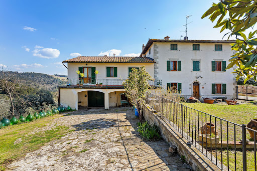 House with garden 4