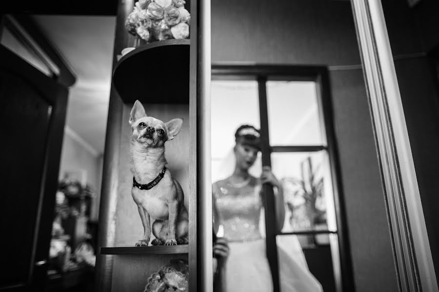 Wedding photographer Nikolay Shepel (kkshepel). Photo of 1 April 2016