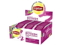 Te Lipton solbr (100) (Org.nr.16786201)