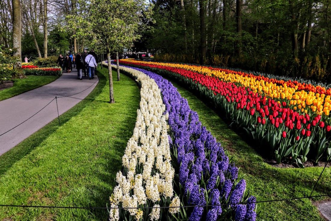 Парк Keukenhof, Ouddorp и Rotterdam "на закуску" - апрель 2017