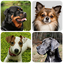 تنزيل Dog Breeds - Quiz about all dogs of the w التثبيت أحدث APK تنزيل