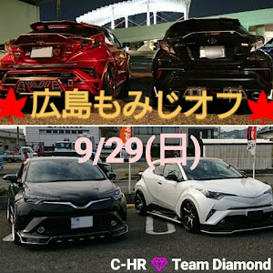 C-HR ZYX10