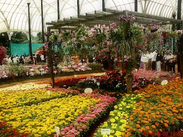 how-to-plan-a-first-date-in-bangalore_lalbagh_botanical_garden