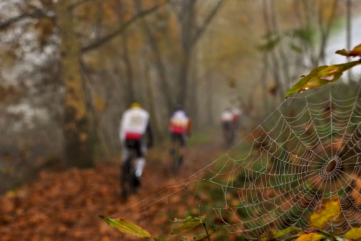 Mountain bike d'autunno.. di AlfredoNegroni