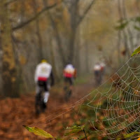 Mountain bike d'autunno.. di 