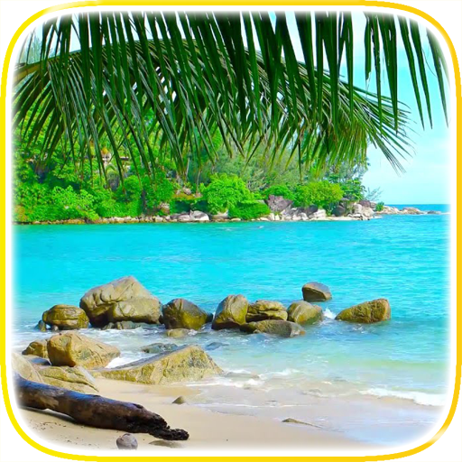 Tropical Beach Video Wallpaper