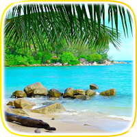 Tropical Beach Video Wallpaper