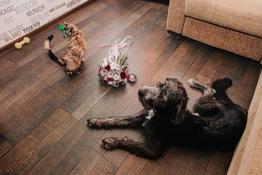 Fotógrafo de casamento Aleksandr Abramov (aabramov). Foto de 30 de março 2017