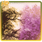 Purple spring tree background  Icon
