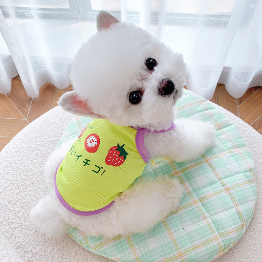 Title 1, Pet Dog Cat Summer Stretch Thread Camisole. Bre...