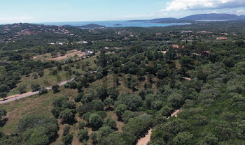 appartement à Sainte lucie de porto vecchio (2A)