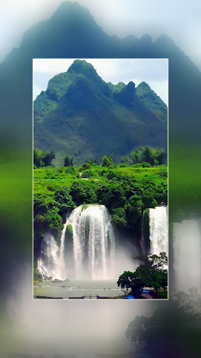 Fantasy Forest Wallpapers