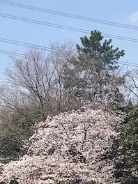 逃げる2人。（テストの点数）